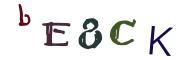 Bild-CAPTCHA