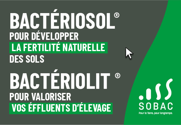 bsol blit