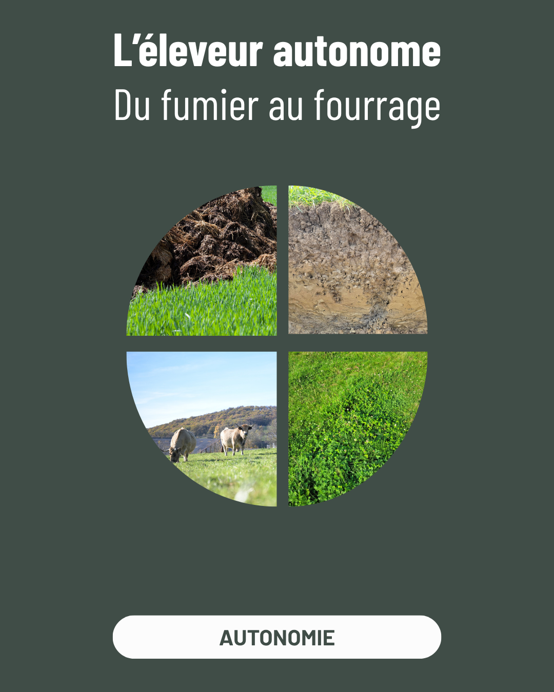 autonomie