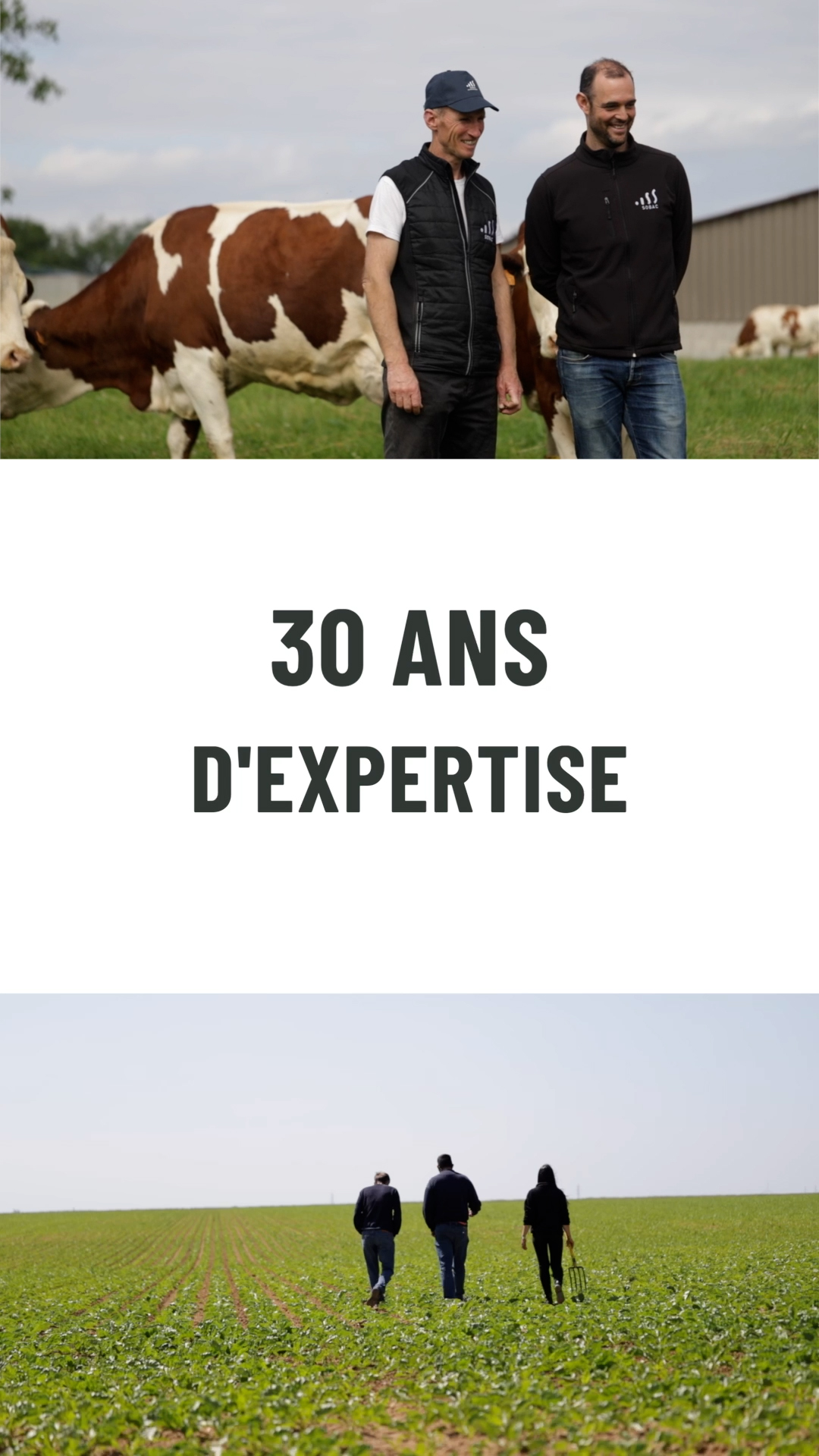 30 ans d'expertise