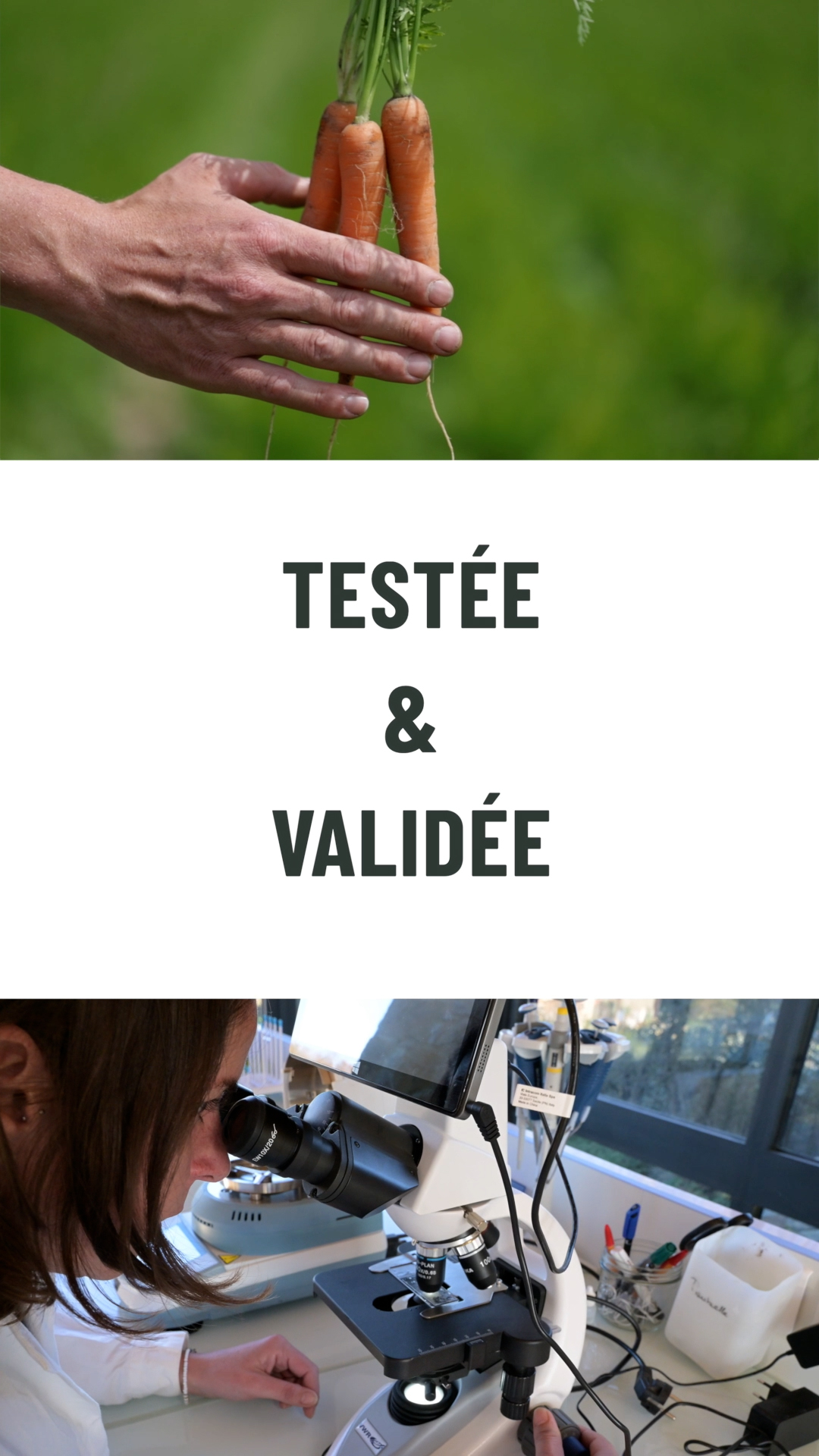 Testée et validée