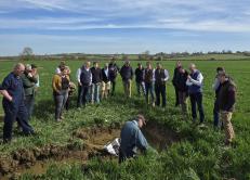 Farmers and experts gather for an in-field soil profile demonstration, showcasing the benefits of regenerative practices using Bacteriosol.