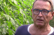 Video testimonio de un horticultor en españa.