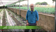  Juan Manuel Molina Pérez, horticultor de Mataro en Cataluña, España.