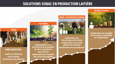 BACTERIOLIT, à la base des améliorations de production laitière et de santé animale. 