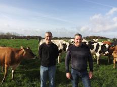 GAEC du Cheval Blanc, éleveur porcins et vaches laitières