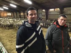 Cyril et Didier Condomines, éleveurs ovins lait