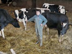 Daniel Commault, cows breeder in Brittany in France. 