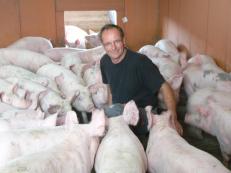 Pierre Vernisse, éleveur de Charolaise et de porcs dans l'Allier, utilisateur des solutions SOBAC.