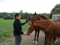 Témoignage de Bénédicte et Patrice Barrier, éleveurs de chevaux de sport à Le Pin au Haras (Orne)