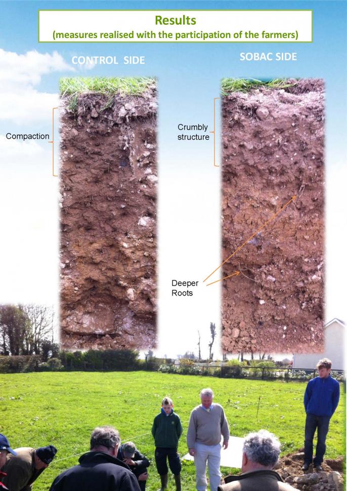 Soil profile in bergin's farm in Tipperary, Ireland -april 2014 3