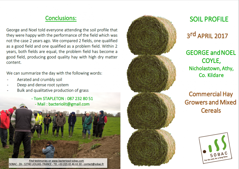 Soil-profile-George-Noel-Coyle-Athy-CO-Kildare-Avril-2017