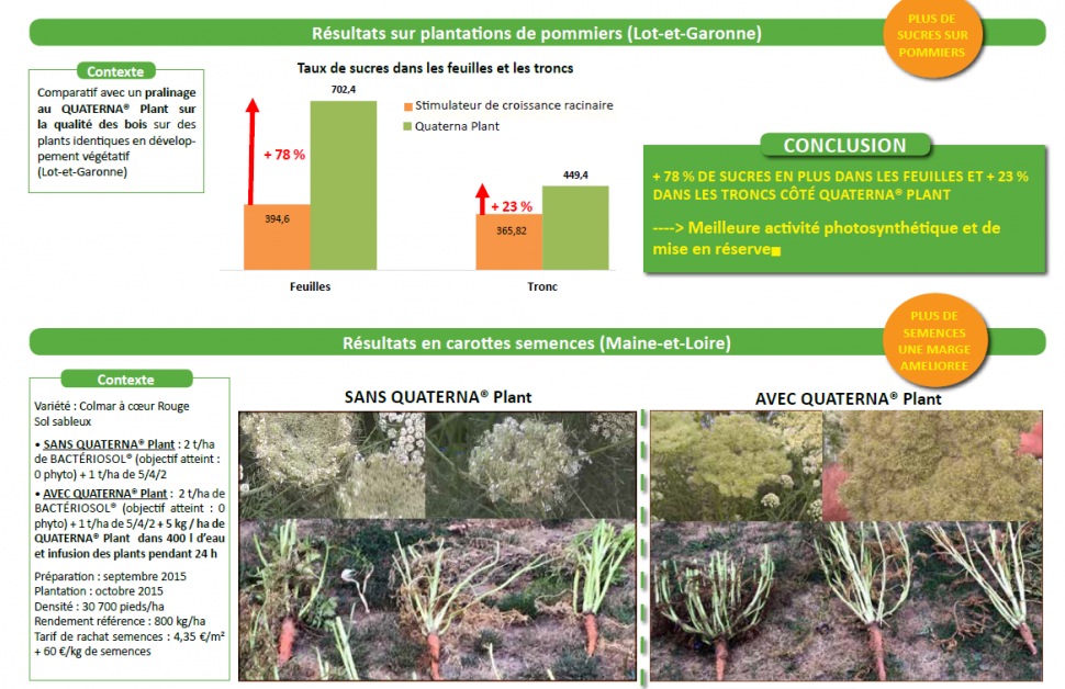 Résultats sur plantations de pommiers (Lot-et-Garonne)