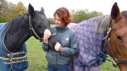 Témoignage d'une éleveuse de chevaux de course de Normandie (61).