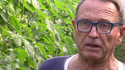 Testimonio de Josep More Floriach, horticultor en españa.