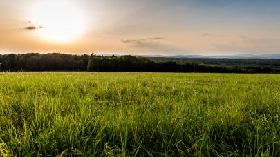 prairies