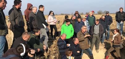 Soil profile in Hungary, novembre 2018.