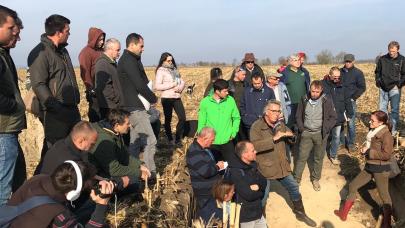 Soil profile in Hungary, novembre 2018.