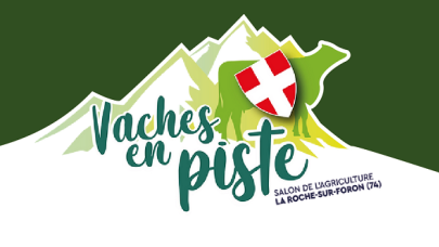 Vaches en piste