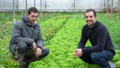 Rémy De Groulard, maraîcher dans les Yvelines, témoigne sur l'utilisation de Bactériosol
