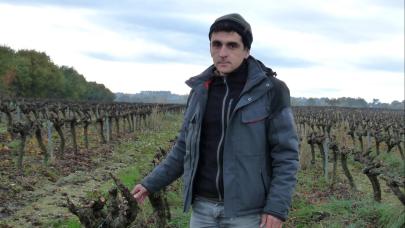 Will it affect the authenticity of my wines