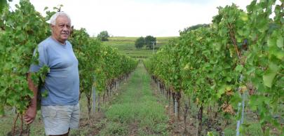 Christian Sabate, viticulteur bio en Gironde, utilisateur des solutions SOBAC