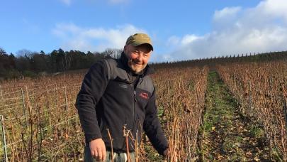 La chlorose a disparu et je sens mon sol
