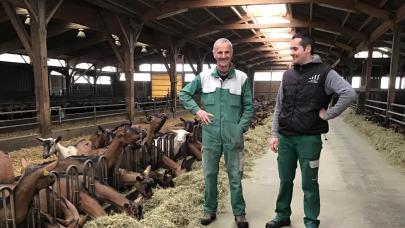 Les chèvres vieillissent mieux et sont moins malades, on est serein.