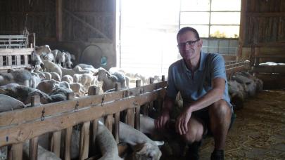 Témoignage et résultats économiques de M. Landez, éleveur ovins dans le Tarn.