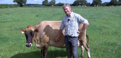  Eamon McLoughney, holstein and jerseys bredeer in Ireland, solutions sobac's user.