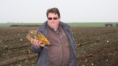 Hungarian dairy cow farmer and grain grower 's testimony.