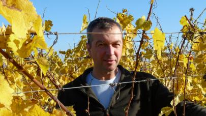 Testimonio de un viticultor de la región del 'Bas-Rhin' en Francia, usuario de Bactériosol desde 2005.