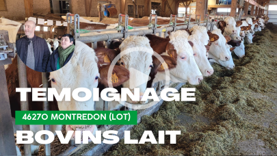 Amélioration des sols et performances : Témoignage d’un éleveur laitier Montbéliardes sur sol acide