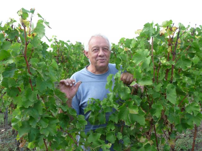 Christian Sabaté, viticulteur bio en Gironde