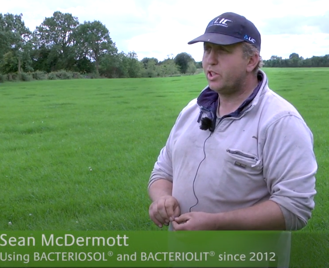 Soil profile in Mc Dermott's farm, Ballinasloe, CO. Galway, Ireland.