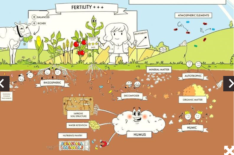SOBAC's naturals solutions fot the soil.