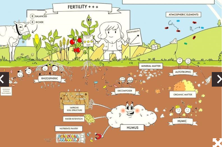 SOBAC's naturals solutions fot the soil. 