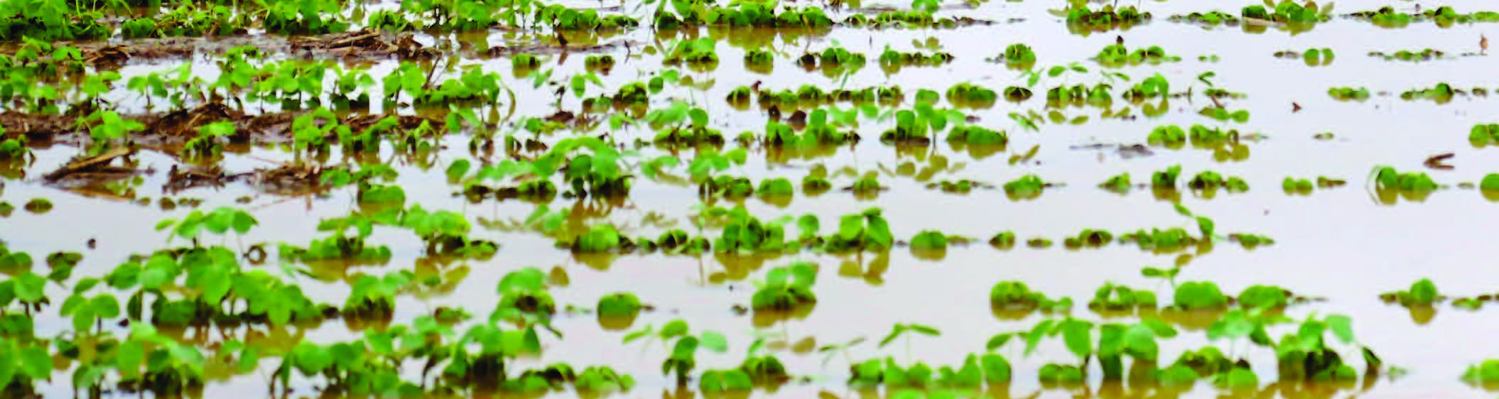 MIGLIORARE LA GESTIONE DELL’ACQUA