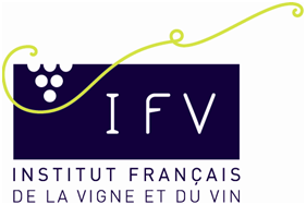 logo ifv.png