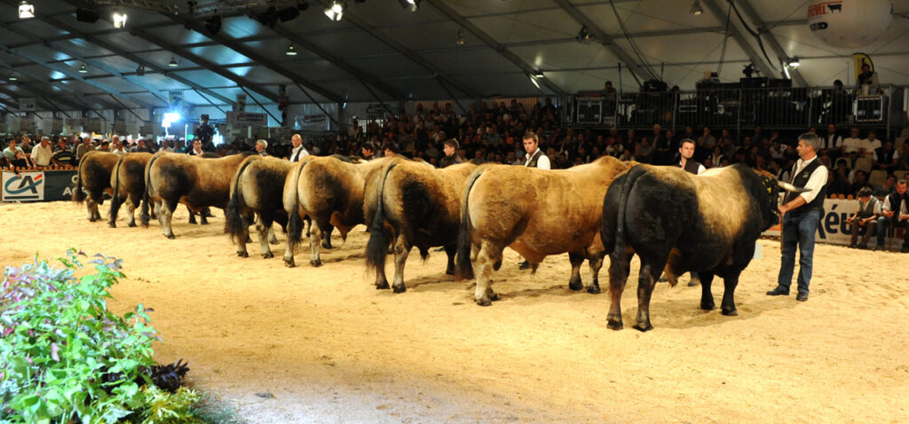 National Aubrac 2025