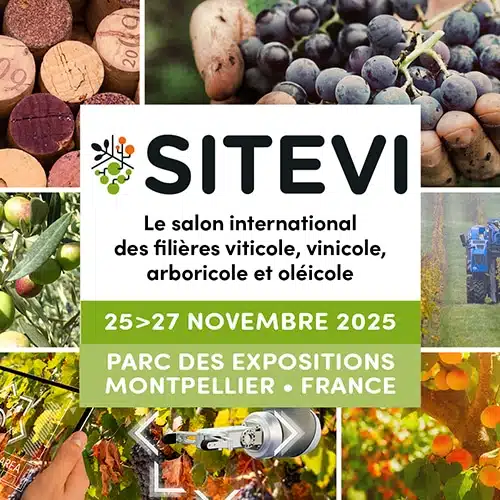 SITEVI 2025