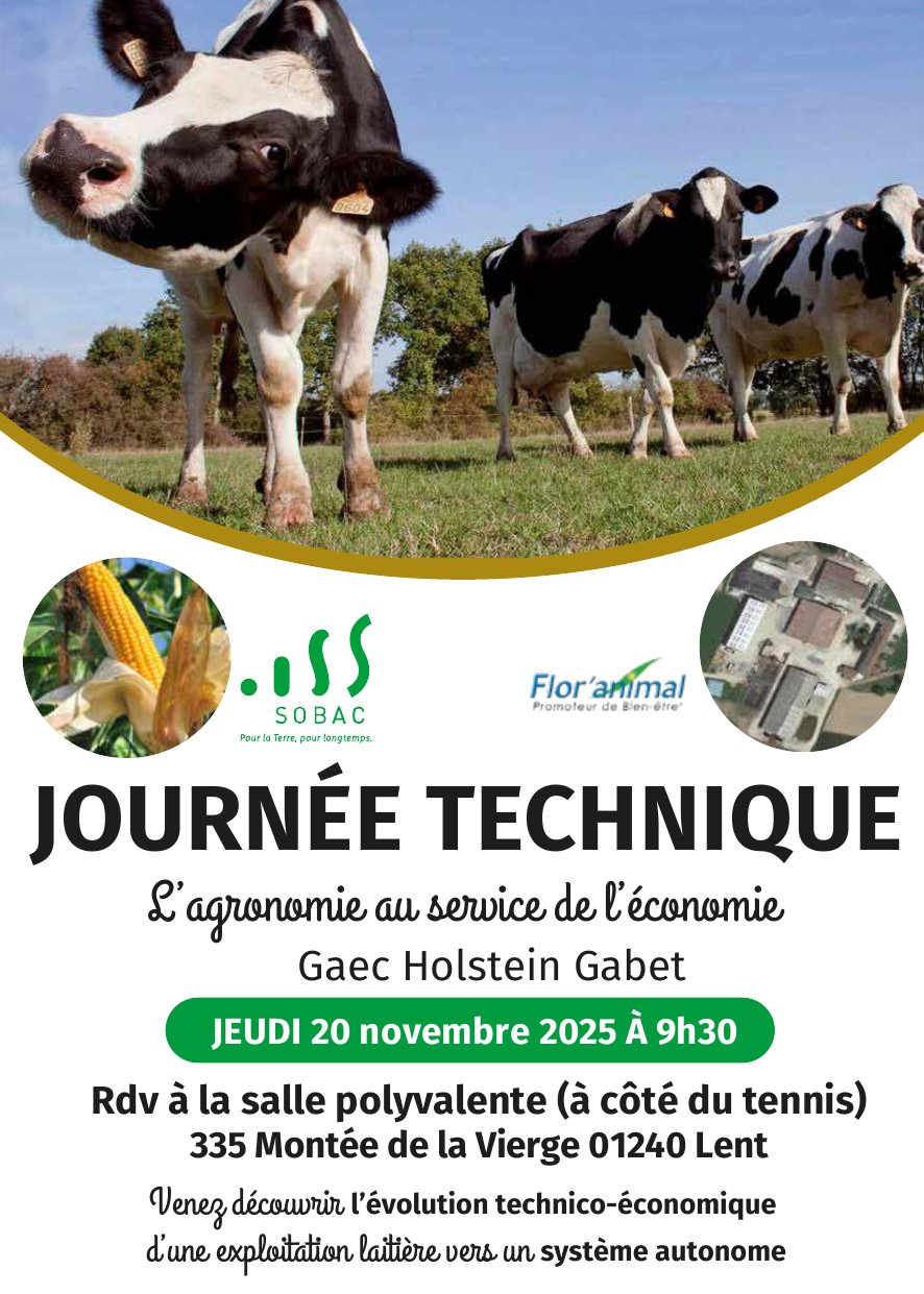 Vue de l’exploitation laitière du GAEC Holstein Gabet à Lent (01), 100 vaches laitières Holstein.