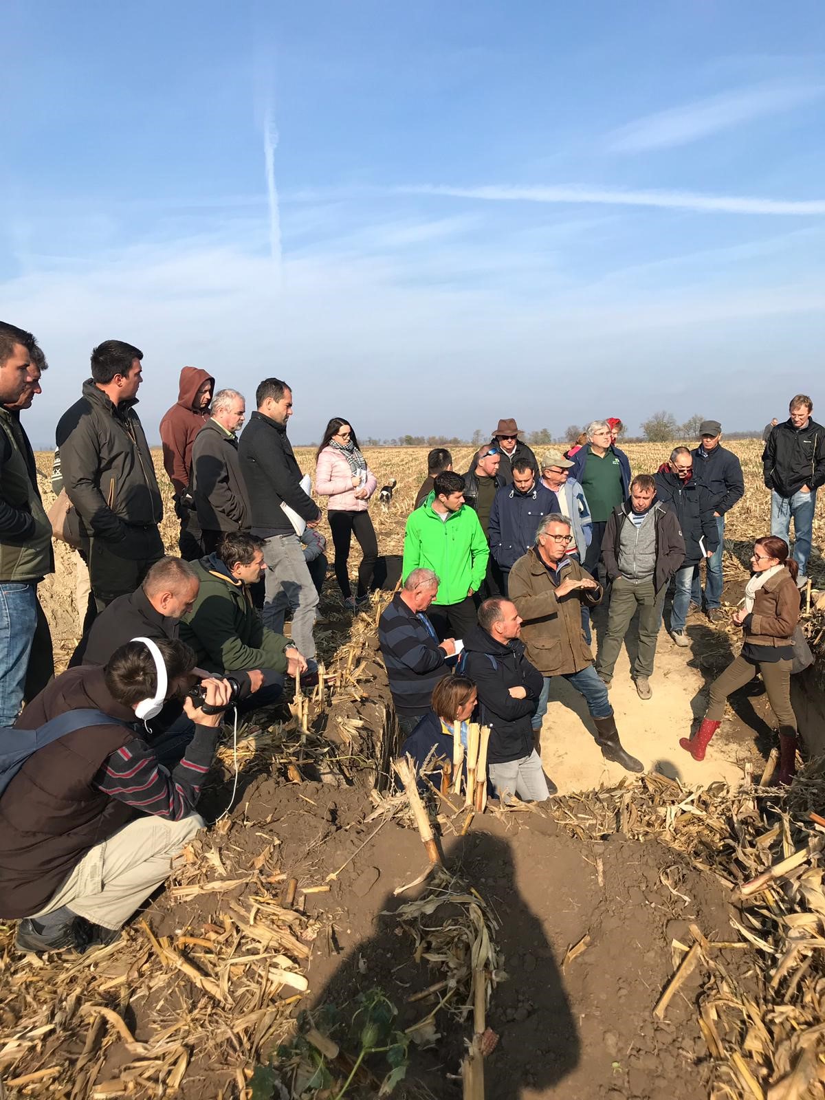 Soil profile in Hungary, novembre 2018.