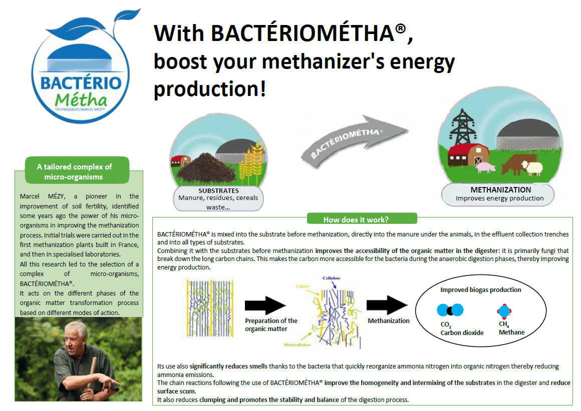 etude_bacteriometha_angalis_1_1.png